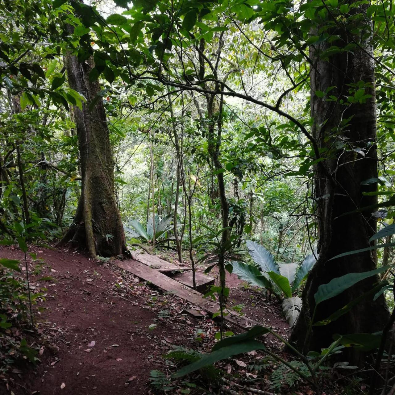 Casa Urraca, Magnifica Vista Al Oceano Pacifico Villa Monteverde ภายนอก รูปภาพ